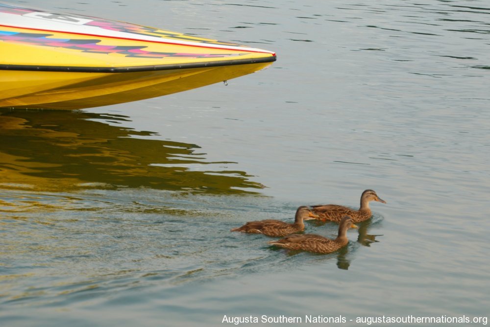 augusta-southern-nationals-2012-592-u